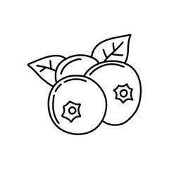blueberry doodle icon. Blue berry line art vector illustration