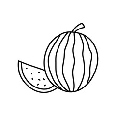 Watermelon fruit in doodle hand drawn style. vector illustrations isolated on white background.