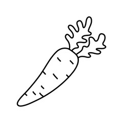 Carrot Doodle, a hand drawn vector doodle illustration of a fresh carrot.