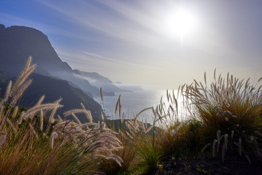View of the Parque Natural Tamadaba from the scenic road GC-200 on the blatant coast of the island of Gran Canaria. In the foreground the wild grass Pennisetum.