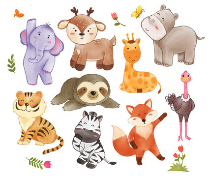 Collection of wildlife animals and plant elements . Watercolor painting cartoon character design . Vector .