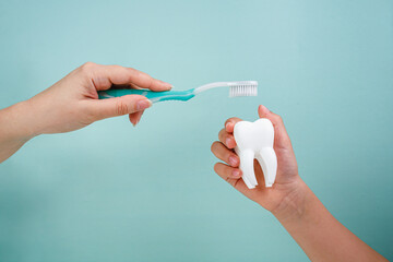 Toothbrush and tooth. Oral hygiene concept. Mom holds a toothbrush, the child holds a tooth.  Teeth whitening procedure poster, dental health and oral hygiene for dentistry design. 