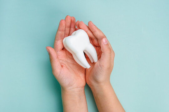 White tooth in the hands of a man. Oral health concept. Teeth whitening. Place for text. Advertising banner.