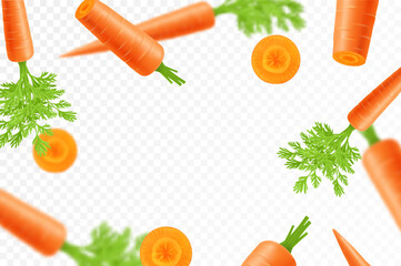 Falling carrots isolated on transparent background. Flying whole and sliced vegetable with blurry effect. Can be used for advertising, packaging, banner, poster, print. vector flat design
