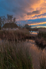 Thatched hut Gardian's hut in the marshes at sunset.