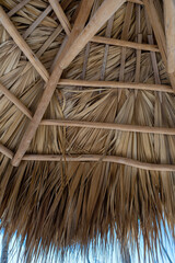 Sun umbrella made of wood and palm leaves close-up.The texture of dried leaves.A beach umbrella from the inside.The roof is made of dried branches.Dry palm leaves