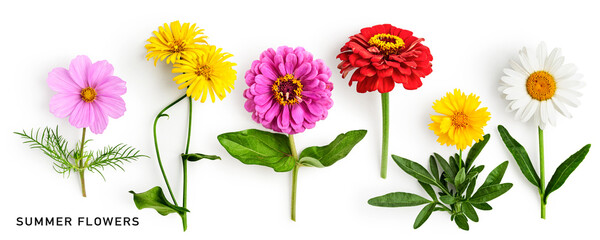 Beautiful colorful summer flowers set isolated on white background.