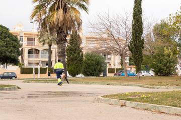 a park with palm trees close-up, a worker walks in the park cleans the streets, the concept of work