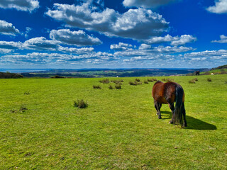 Peak Hill in South West Devon