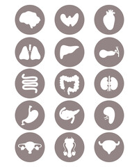 Set medical icons. Human internal organs. vector illustration. Anatomy concept. Isolated graphic drawings silhouettes in circle.