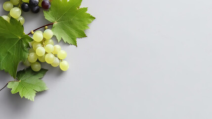 Fresh grapes with green leaves on a flat background. Flat lay and top view composition. Winery wallpaper with large white space for copy or text.