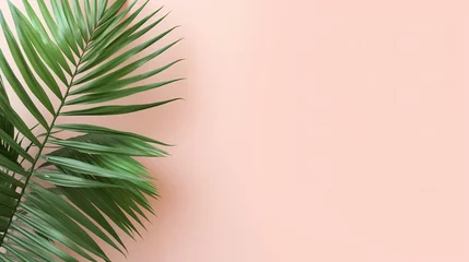 Fotobehang Palm tree leaves on the side of large light pink pastel background, Beautiful composition with large white space for text or copy, clean and minimal top view wallpaper. © Maris
