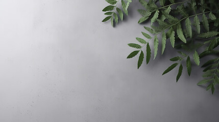 Tree leaves on the side of large dark grey background, Beautiful leaves composition with large white space for text or copy, clean and minimal top view wallpaper.