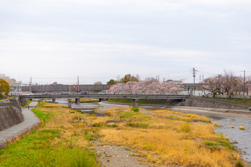 Fototapeta na wymiar Kyoto