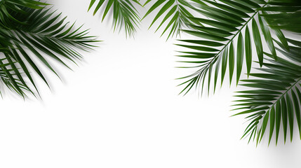 Fototapeta na wymiar Palm tree leaves on the side of large light pastel background, Beautiful composition with large white space for text or copy, clean and minimal top view wallpaper.