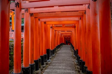 Foto op Plexiglas Kyoto © Leo