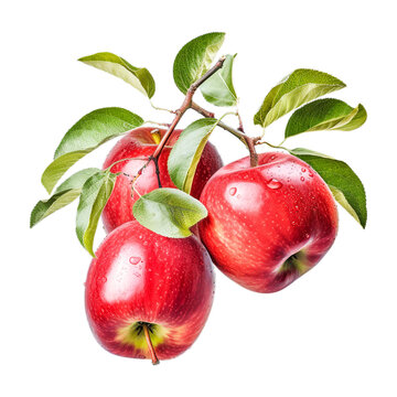 Red apples with leaves Generative Ai	