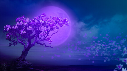 Fototapeta na wymiar The beautiful flower of the full moon , champa tree at night 