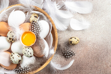 Fototapeta na wymiar Chicken and quail eggs with feathers on light background. top view