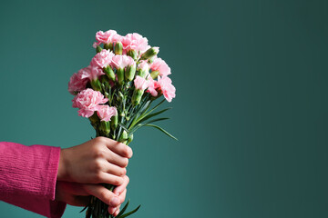 The hands of a girl holding a bouquet of pink carnations on a blue green turquoise background. Congratulations. Concept for Mother's Day. Copy space