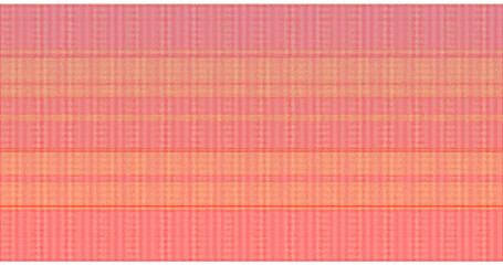 Flores's woven fabric. NTT Island, Indonesian Culture. Created with pixelmator pro for iMac