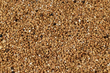 Poorly cleaned buckwheat groats for cooking porridge