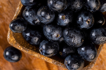 sweet ripe black grapes covered with drops of water