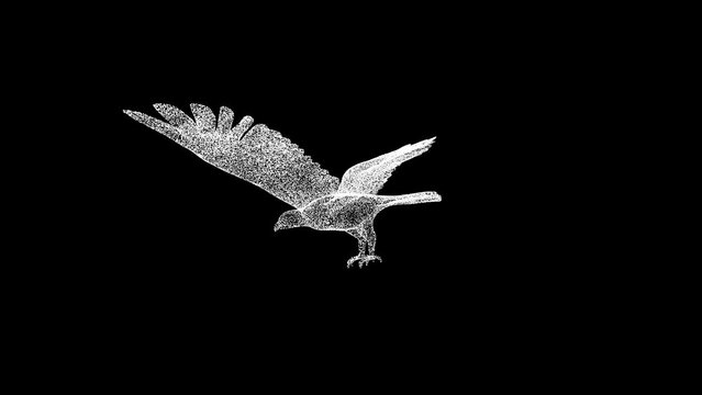 3D Eagle Falcon rotates on black background. Object made of shimmering particles. Wild animals concept. For title, text, presentation. 3d animation 60 FPS