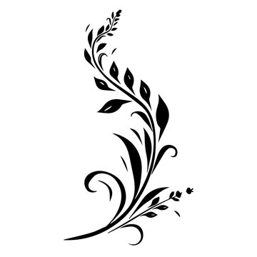 floral ornament vector drawing