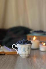 Fototapeta na wymiar Cup of blueberries, set of books, phone, eyeglasses, lit candles and blanket on the table. Hygge at home. Selective focus.