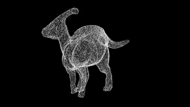 3D dinosaur Parasaurolophus rotates on black background. Object made of shimmering particles. Wild animals concept. For title, text, presentation. 3d animation 60 FPS