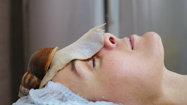 Snails crawling on female face. Skin care at beauty salon. Anti-aging solutions. Snail with mucin muscus for skin treatment. skin rejuvenation. Beauty, wellness and skin care concept. korean medicine