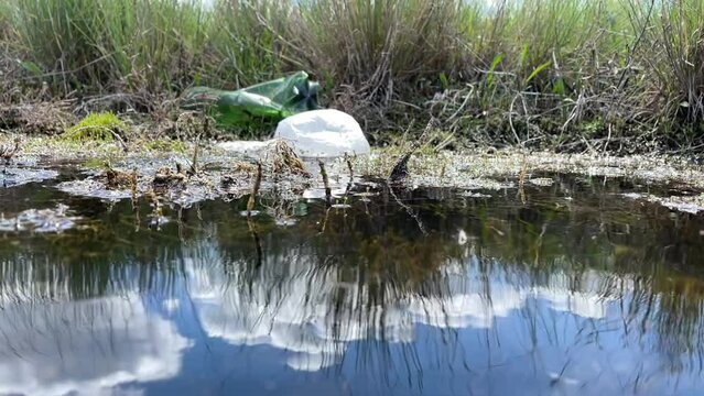 Plastic bottles are thrown on shore of summer lake. Camera descends under water of swamp with yellow algae