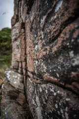 Hovs Hallar Nature Reserve