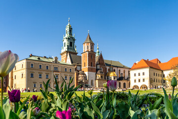 Kraków stare miasto - obrazy, fototapety, plakaty
