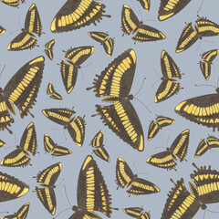 Seamless Pattern with Hand Drawn Colorful Butterflies on Blue Background. Digital Paper with Butterfly.