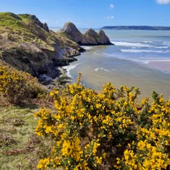 Fotobehang Three Cliffs Bay, a popular tourist destination located on the south coast of the Gower Peninsula in Wales. © Marcin