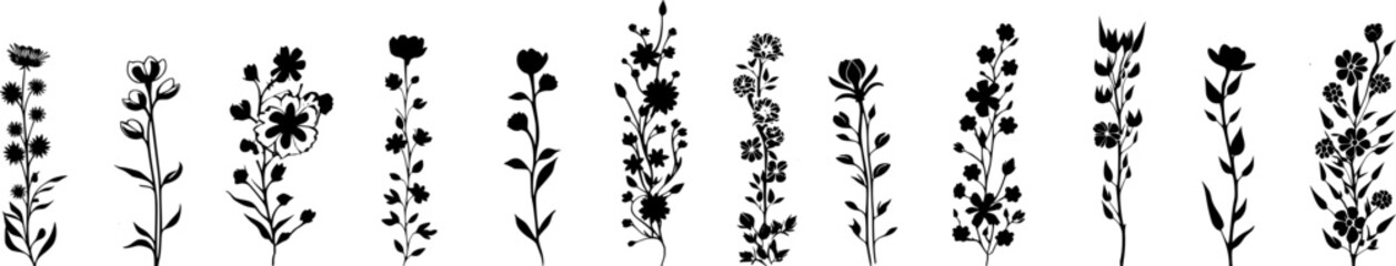 Silhouetten: Vektor Set - Ranken mit Blumen, Pflanzen und Blättern - obrazy, fototapety, plakaty