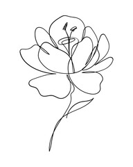 Continuous Floral Line Drawing
