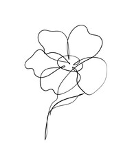 Continuous Floral Line Drawing