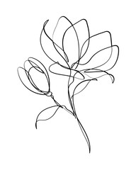 Continuous Floral Line Drawing