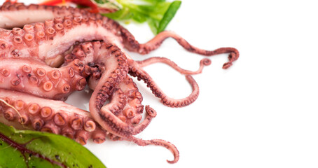 Octopus serving with vegetables, sea food. Freshly boiled octopus isolated on white background,...