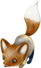 Cute little fox - color pencil illustration