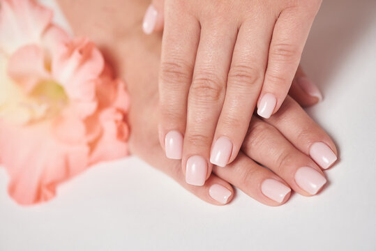 Female hands with with a neat manicure