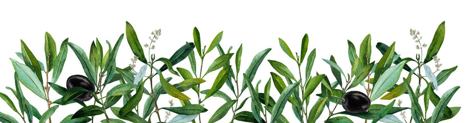 Olive leaves branch, watercolor border, frame, illustration invitation