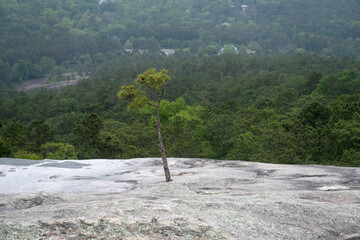 Stone mountain, Georgia, United States. beautiful nature
