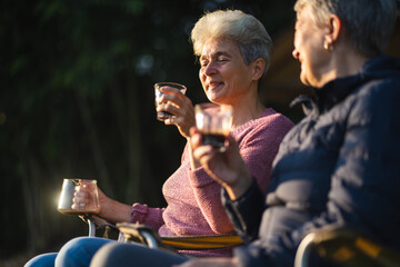 Happy senior middle aged mom drinking tea at home and chatting, relaxing on sofa in living room, enjoying cup of coffee together, talking and laughing. Family relationships