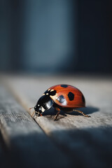 Ladybug on white wooden background. ai