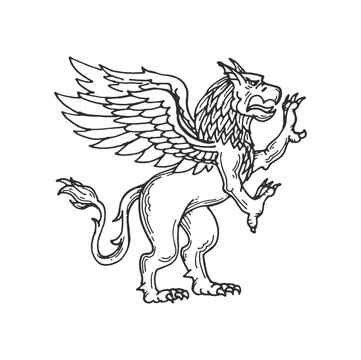 Heraldic Medieval animal sketch, eagle lion or griffin monster, vector heraldry symbol. Heraldic lion with eagle wings or rampant fantasy creature and mythic beast for gothic heraldic coat of arms