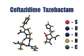 Ceftazidime and tazobactam, a combination medication containing the antibiotic ceftazidime and the beta-lactamase inhibitor tazobactam. Space-filling molecular models. 3d illustration